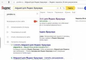 Adguard für Yandex Browser Image 4