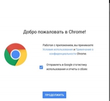 Google Chrome Image 2